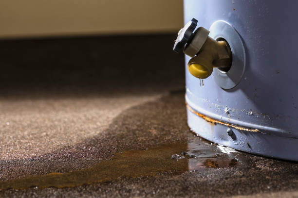 Best Local water damage restoration  in Edgerton, MN