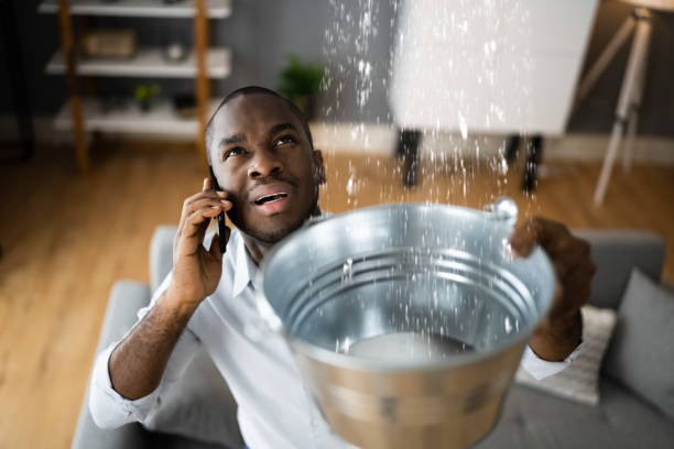Best Flood damage cleanup  in Edgerton, MN