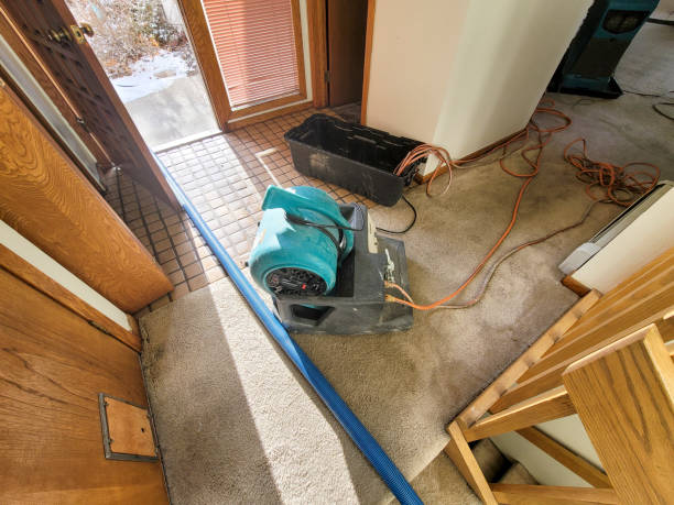 Best Water damage restoration near me  in Edgerton, MN