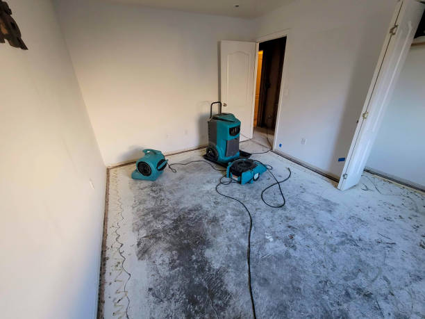 Best Water damage cleanup near me  in Edgerton, MN