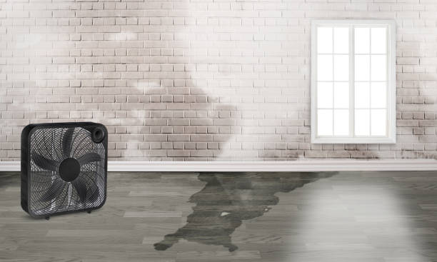 Best Fire Damage Restoration  in Edgerton, MN