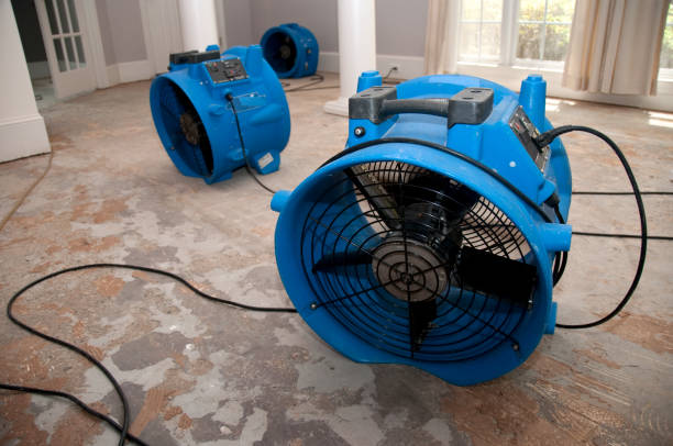 Best Sewage cleanup and water damage restoration  in Edgerton, MN