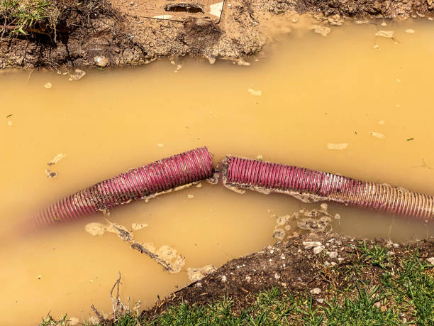 Best Water damage restoration near me  in Edgerton, MN