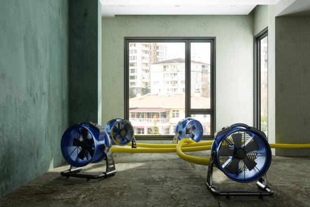 Best 24/7 water damage repair  in Edgerton, MN